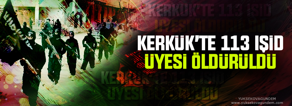 Kerkük ve Kobani’de 113 IŞİD üyesi öldürüldü