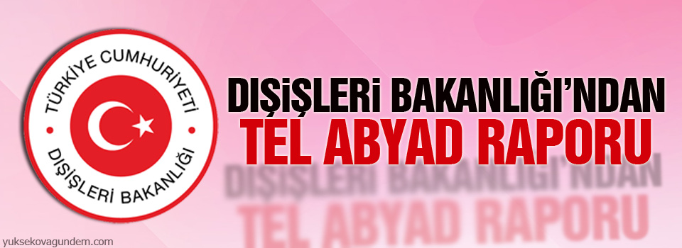 Dışişleri Bakanlığı’ndan Tel Abyad raporu