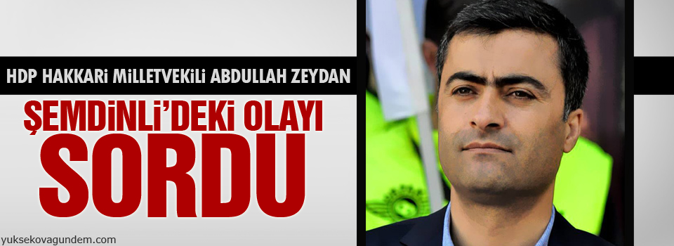 Zeydan: Şemdinli’deki olayı sordu