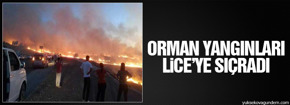 Orman yangınları Lice’ye sıçradı