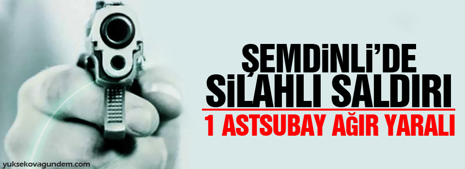 Şemdinli'de silahlı saldırı