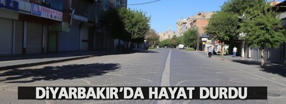 Diyarbakır'da hayat durdu