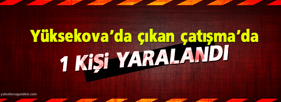 Yüksekova'da çıkan çatışma'da 1 kişi yaralandı