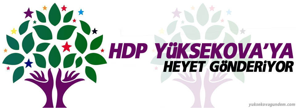 HDP Yüksekova'ya heyet gönderiyor