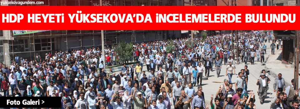 HDP heyeti Yüksekova'da inceleme'de bulundu