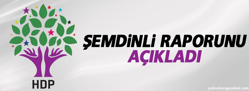 HDP Şemdinli Raporunu Açıkladı