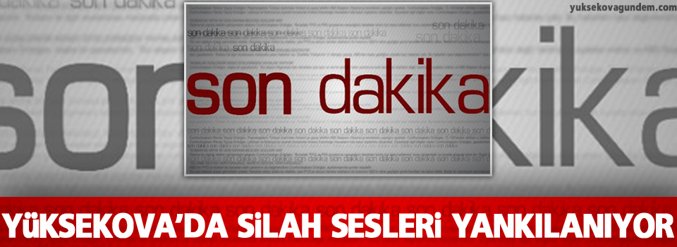 Yüksekova'da silah sesleri yankılanıyor