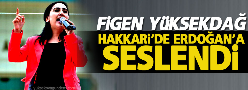 Yüksekdağ Hakkari'de Erdoğan'a seslendi