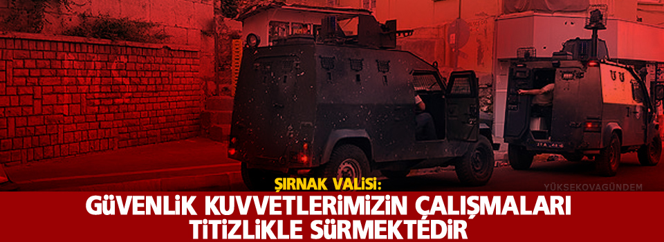 Güvenlik kuvvetlerimizin çalışmaları titizlikle sürmektedir