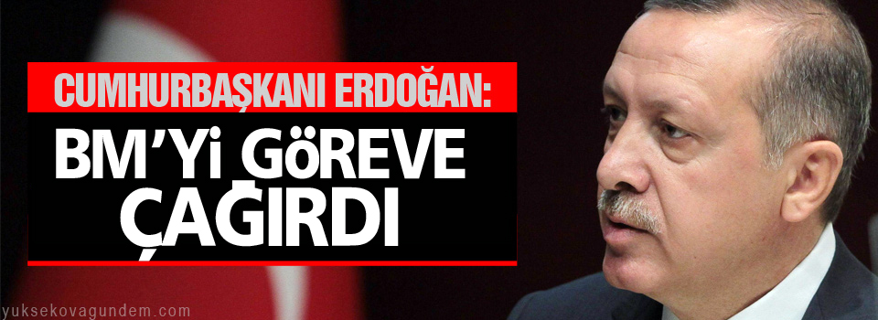 Erdoğan BM'yi göreve çağırdı