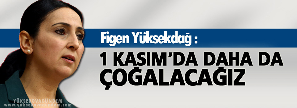 Yüksekdağ: 1 Kasım'da daha da çoğalacağız