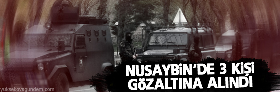 Nusaybin'de 3 gözaltı