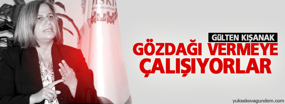 Kışanak: Gözdağı vermeye çalışıyorlar