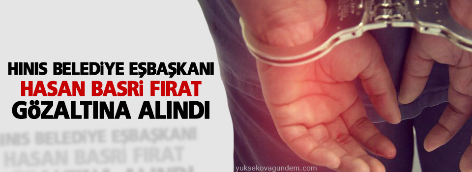 Hınıs Belediye Eşbaşkanı Fırat gözaltına alındı