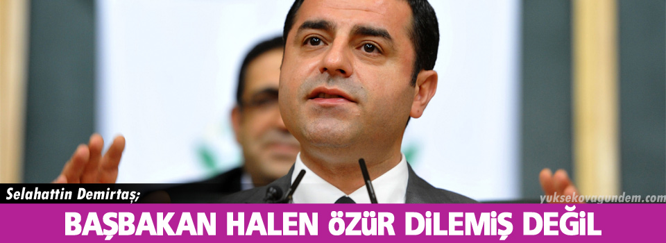 Demirtaş: Devlet pişkin pişkin sırıtıyor