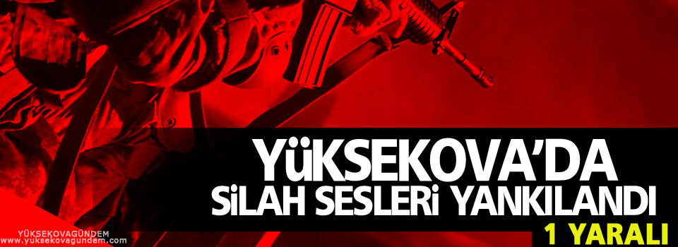 Yüksekova’da gece boyunca silah sesleri: 1 yaralı