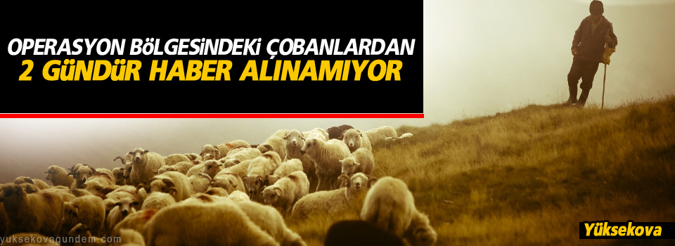 Yüksekova'da 4 çobandan 2 gündür haber alınamıyor