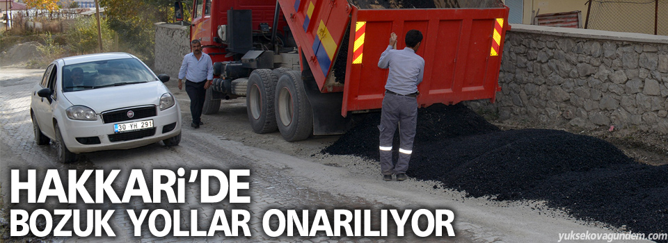 Hakkari'de bozuk yollar onarılıyor