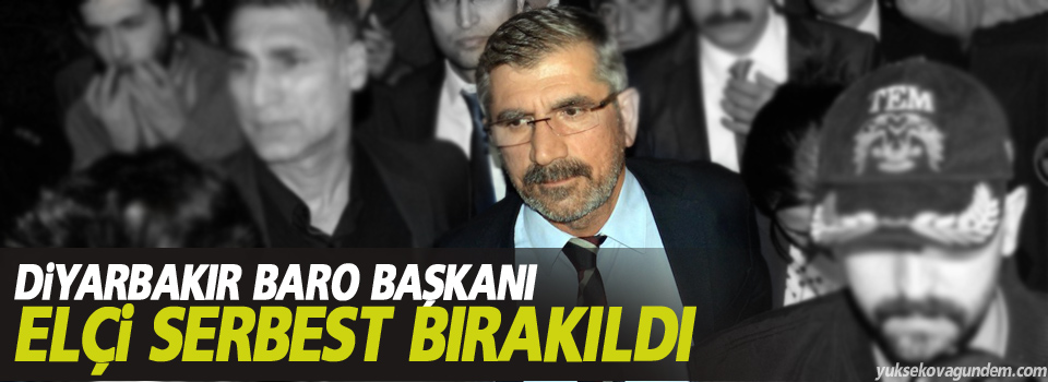 Baro Başkanı Elçi serbest bırakıldı