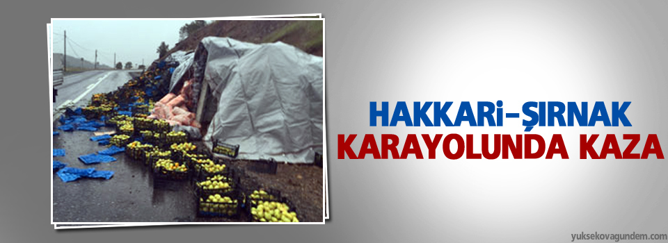 Hakkari-Şırnak Karayolunda Kaza