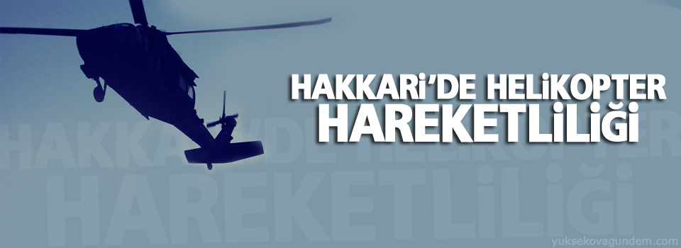 Hakkari'de yoğun hava hareketliliği