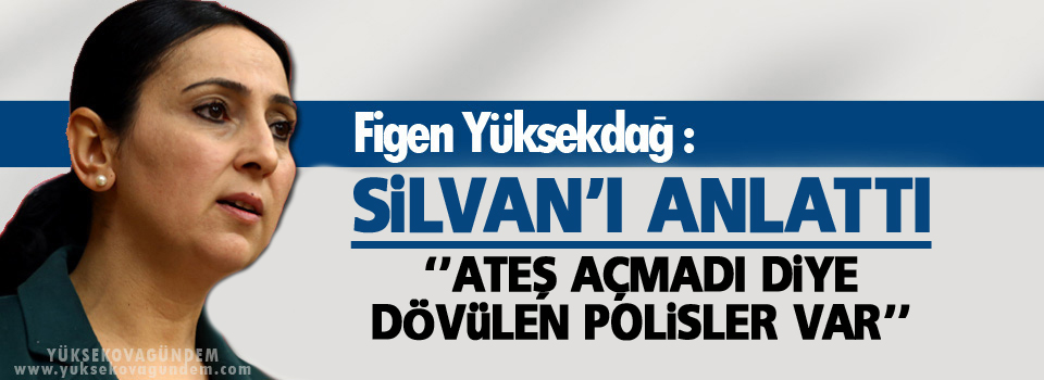 Yüksekdağ, Silvan’ı anlattı