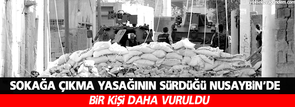 Nusaybin’de bir kişi daha öldürüldü