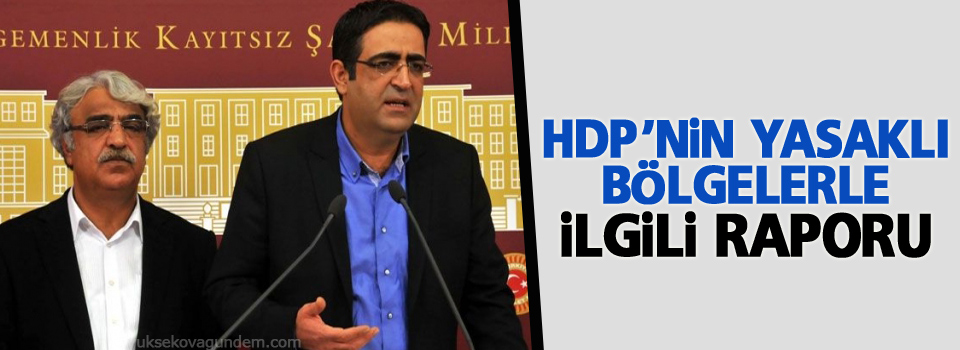 HDP'nin yasaklı bölgelerle ilgili raporu