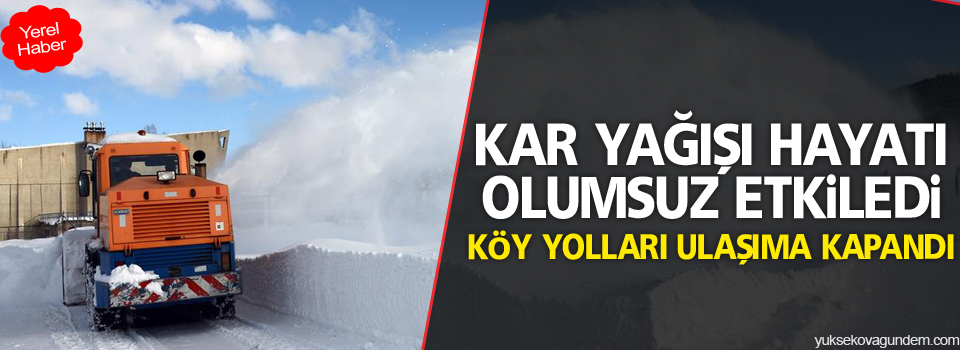 Hakkari İl ve İlçeleri'nin birçok köy yolu ulaşıma kapandı