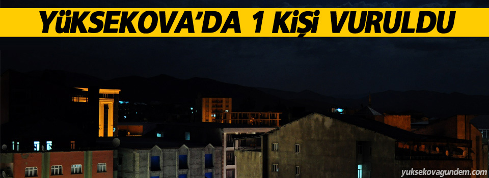 Yüksekova'da 1 kişi vuruldu