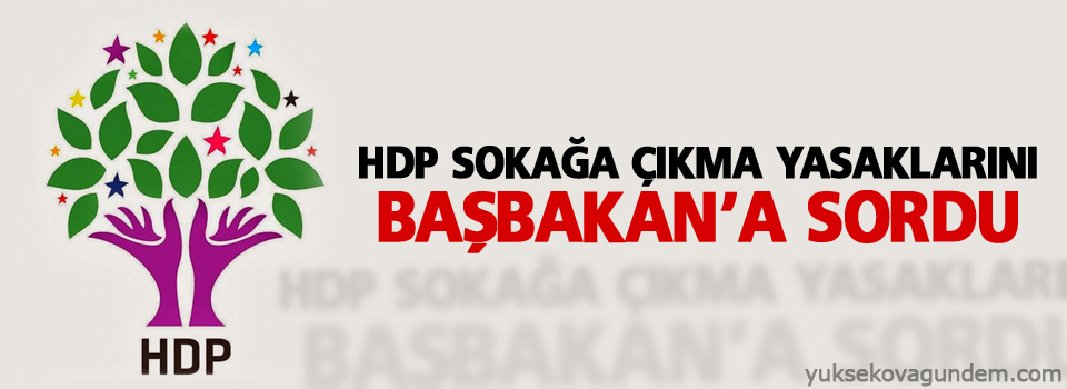 HDP sokağa çıkma yasaklarını Davutoğlu’na sordu