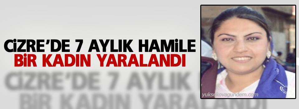 Cizre’de 7 aylık hamile bir kadın yaralandı