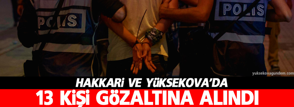 Hakkari ve Yüksekova'da 13 gözaltı