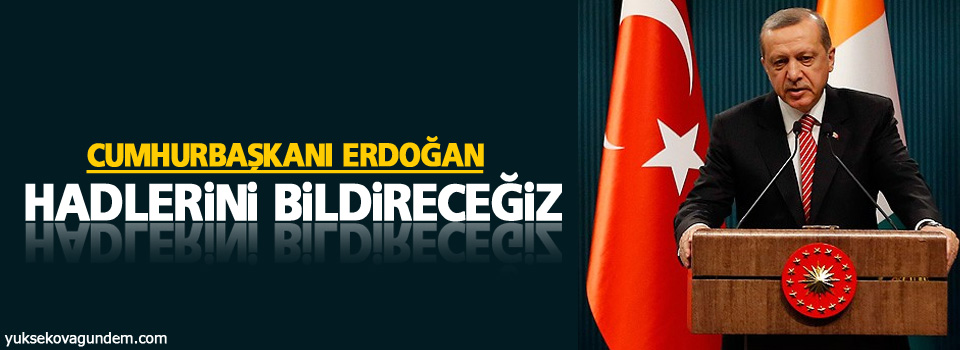 Erdoğan: Hadlerini bildireceğiz