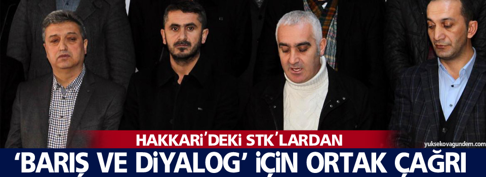 Hakkari'deki STK'lardan, 'Barış ve Diyalog' için ortak çağrı