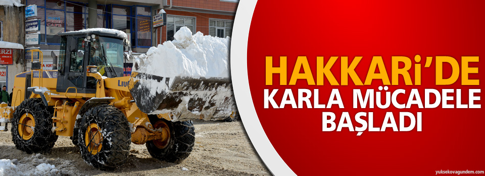 Hakkari'de karla mücadele başladı