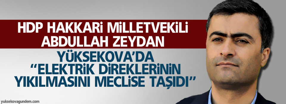 HDP'li Zeydan, Yüksekova'da elektrik direklerinin yıkılmasını meclise taşıdı