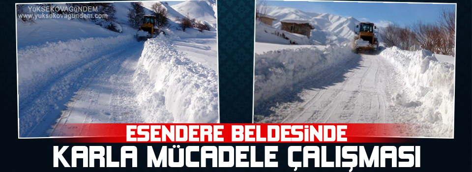 Esendere Beldesinde karla mücadele çalışması