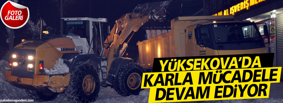 Yüksekova'da karla mücadele devam ediyor