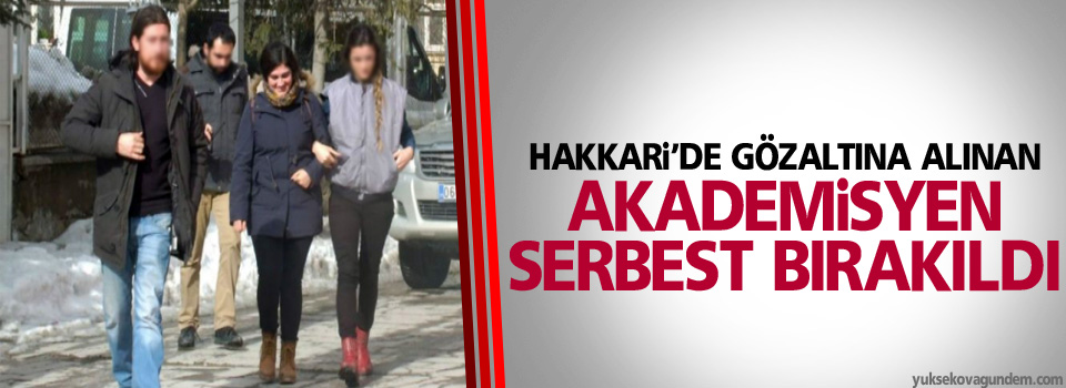 Hakkari'de gözaltına alınan akademisyen serbest bırakıldı