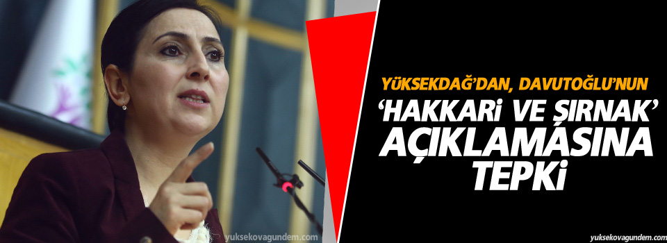 Davutoğlu'nun 'Hakkari ve Şırnak' açıklamasına tepki