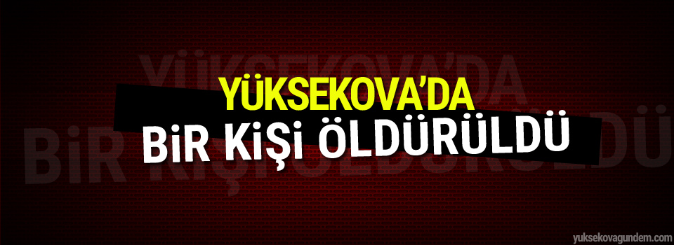 Yüksekova'da bir kişi öldürüldü