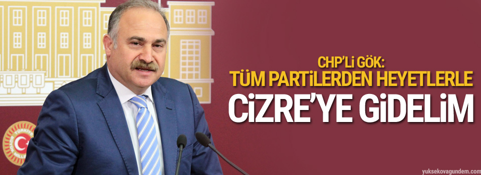 Gök: Tüm partilerden heyetlerle Cizre’ye gidelim