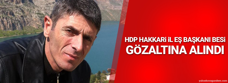 HDP Hakkari il eş başkanı Besi gözaltına alındı