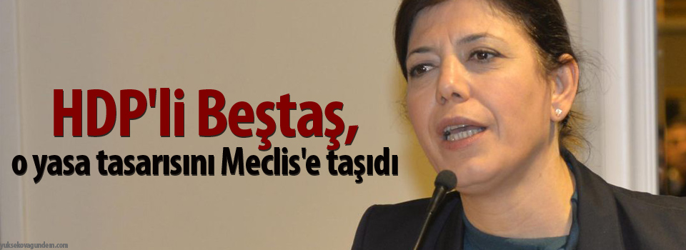 HDP'li Beştaş, o yasa tasarısını Meclis'e taşıdı