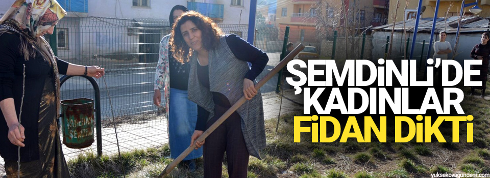 Şemdinli'de kadınlar fidan dikti