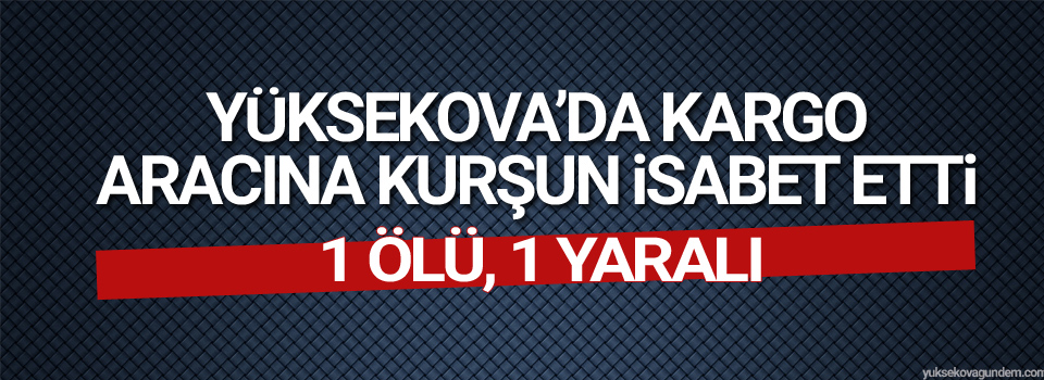 Yüksekova'da kargo aracına kurşun isabet etti, 1 ölü