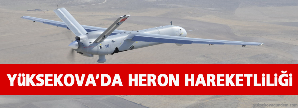 Yüksekova'da Heron Hareketliliği