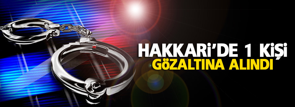 Hakkari'de 1 gözaltı