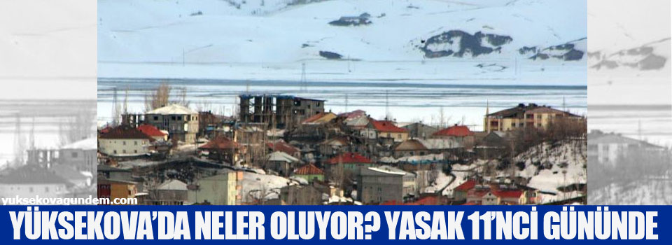 Yüksekova'da Neler Oluyor? Yasak 11'nci Gününde